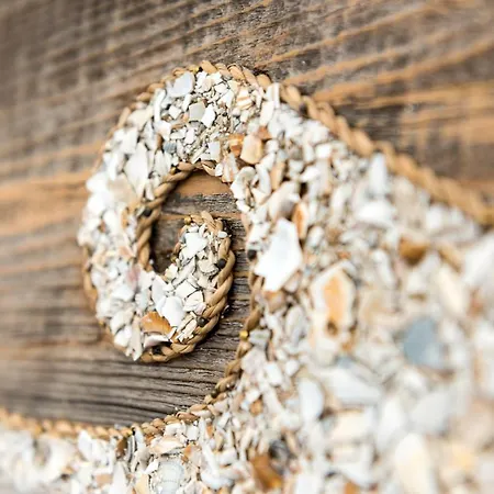 Tiny De Haas Met Infraroodsauna Lejlighed Egmond aan Zee