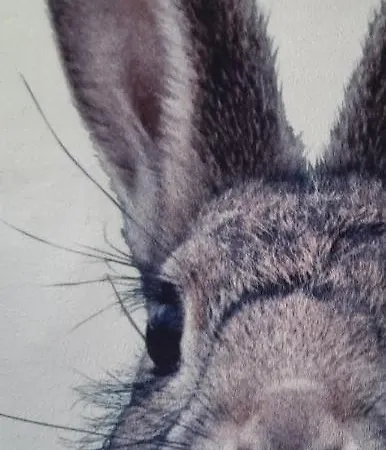 Tiny Villa De Haas Luxe Studio Met Heerlijk Terras En Infraroodsauna