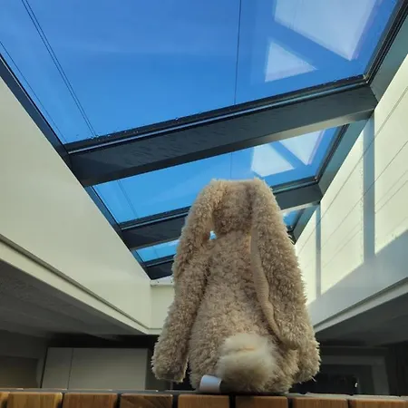 Lejlighed Tiny De Haas Met Infraroodsauna Egmond aan Zee