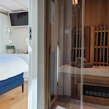 Tiny De Haas Met Infraroodsauna Egmond aan Zee