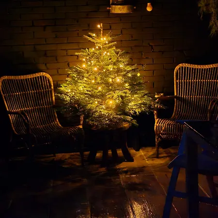 Tiny De Haas Luxe Met Heerlijk Terras En Infraroodsauna Appartement Egmond aan Zee