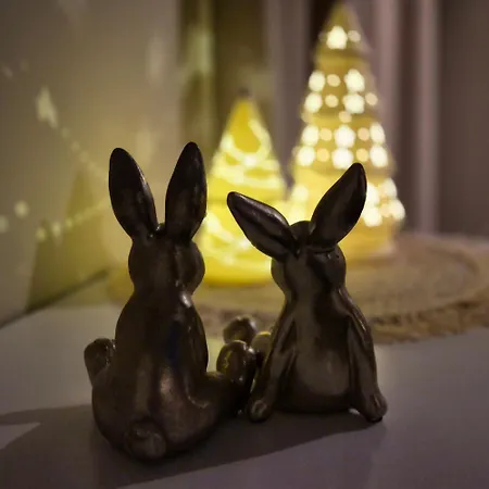Lejlighed Tiny De Haas Met Infraroodsauna Egmond aan Zee