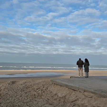 公寓 Tiny De Haas Met Infraroodsauna *