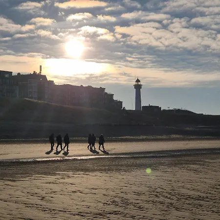 Tiny De Haas Met Infraroodsauna * Egmond aan Zee