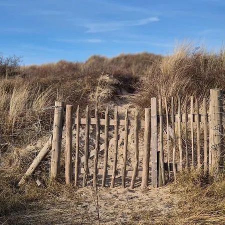 Lejlighed Tiny De Haas Met Infraroodsauna