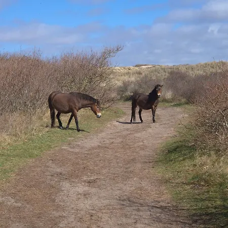 Tiny De Haas Met Infraroodsauna 公寓 *