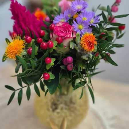 Lejlighed Tiny De Haas Met Infraroodsauna *