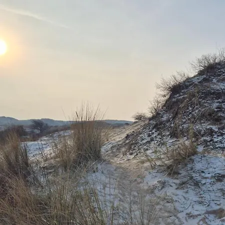 Tiny De Haas Met Infraroodsauna 海边的艾格蒙特