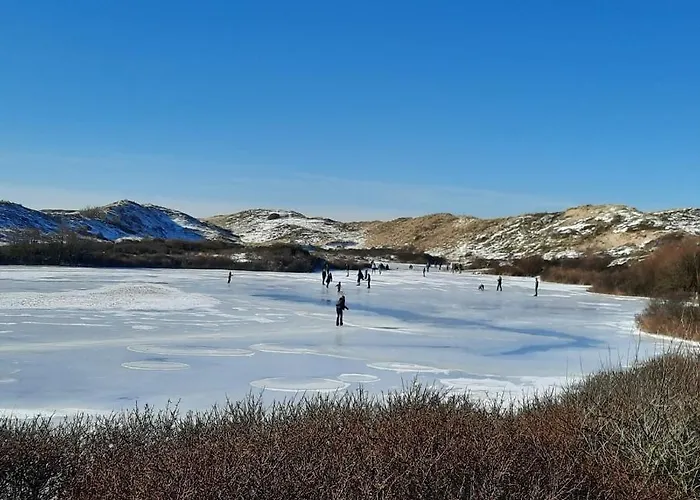 Apartman Tiny Villa De Haas Luxe Studio Met Heerlijk Terras En Infraroodsauna *
