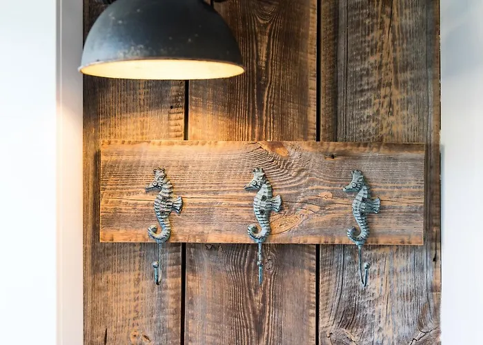 Tiny Villa de Haas met prive Infraroodsauna Egmond aan Zee