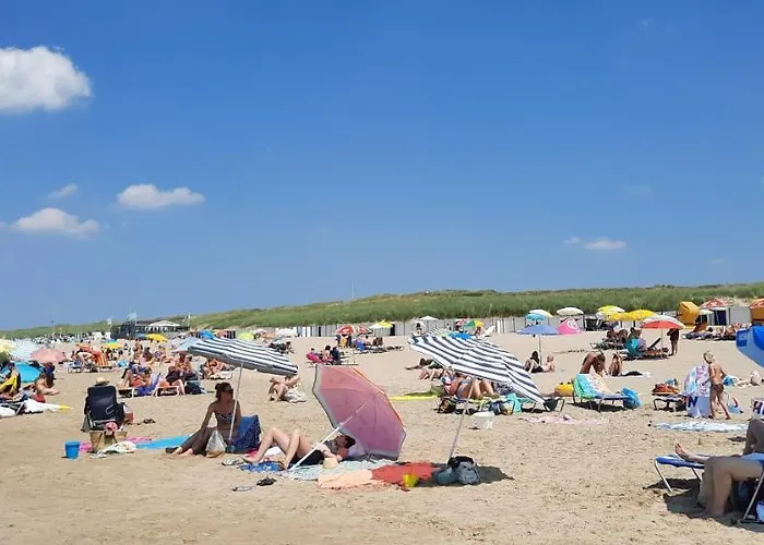 Tiny Villa De Haas Luxe Studio Met Heerlijk Terras En Infraroodsauna Apartman *