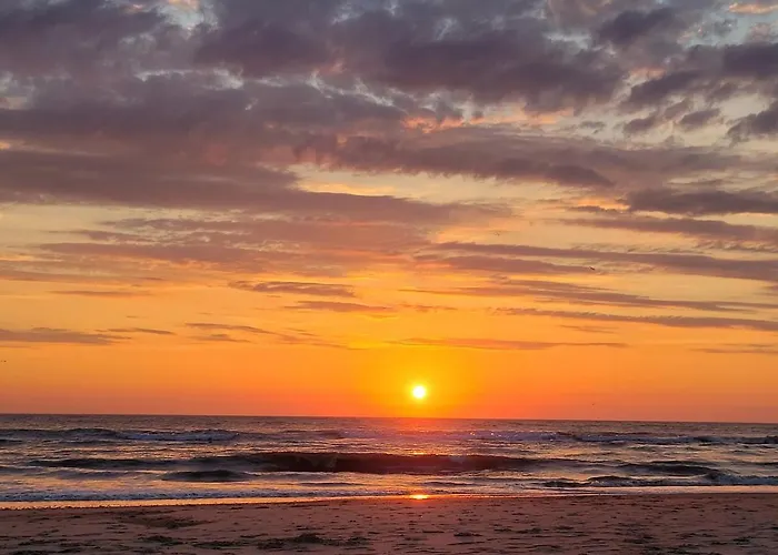 Tiny Villa De Haas Luxe Studio Met Heerlijk Terras En Infraroodsauna Apartmán Egmond aan Zee