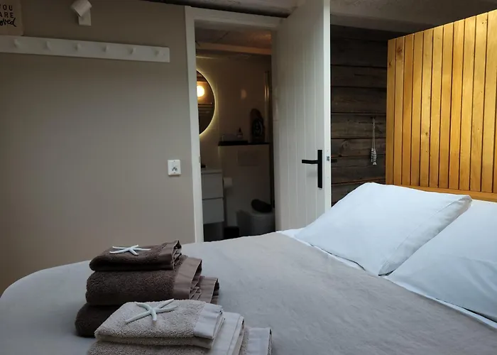 Apartamento Tiny Villa de Haas met prive Infraroodsauna Egmond aan Zee