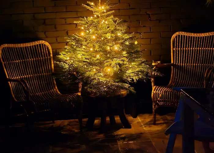 Tiny Villa De Haas Luxe Studio Met Heerlijk Terras En Infraroodsauna Apartmán Egmond aan Zee