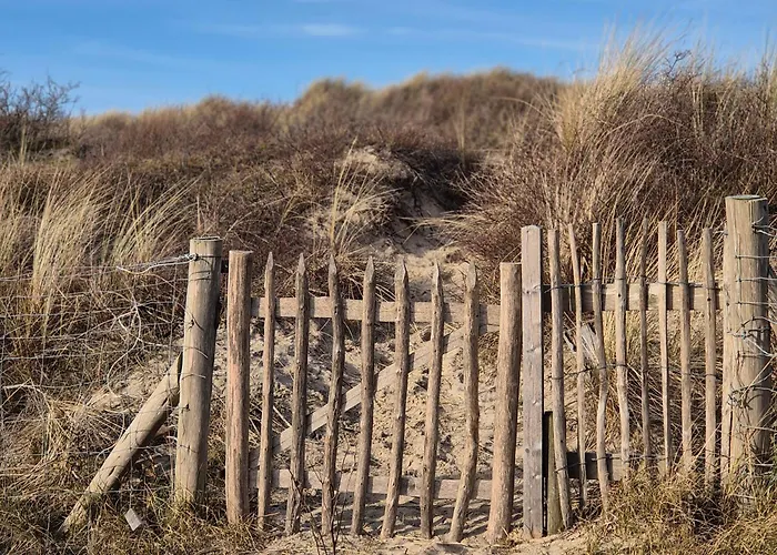 Apartmán Tiny Villa De Haas Luxe Studio Met Heerlijk Terras En Infraroodsauna
