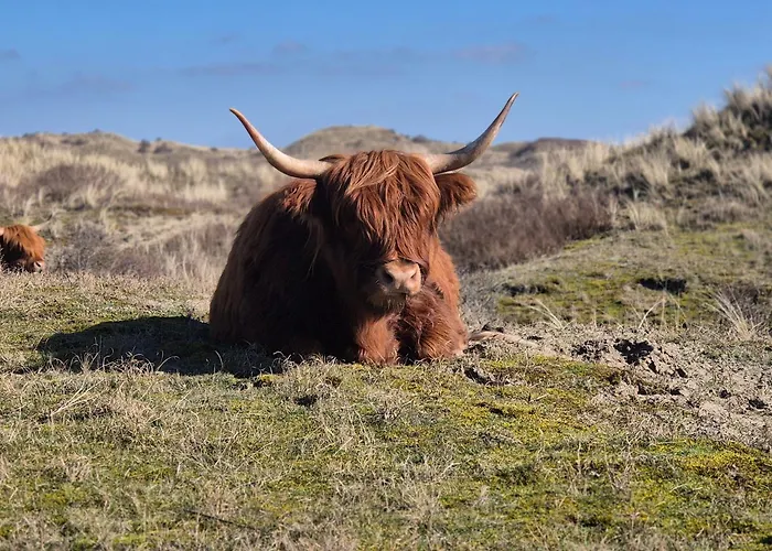 Apartmán Tiny Villa De Haas Luxe Studio Met Heerlijk Terras En Infraroodsauna *