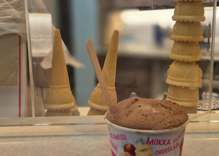 Apartmán Tiny Villa De Haas Luxe Studio Met Heerlijk Terras En Infraroodsauna