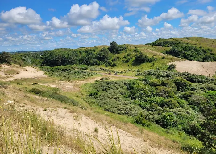 Tiny Villa De Haas Luxe Studio Met Heerlijk Terras En Infraroodsauna Apartmán