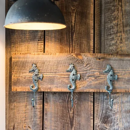 Tiny De Haas Luxe Met Heerlijk Terras En Infraroodsauna 에크몬드안지