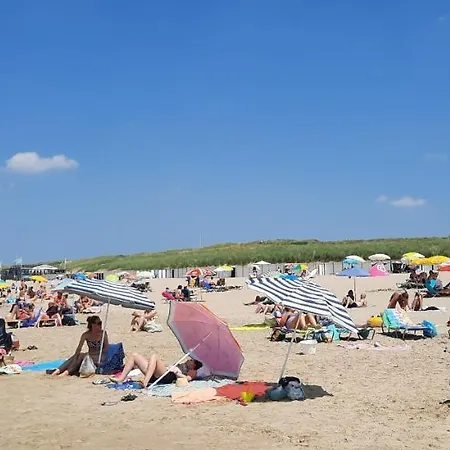 Tiny De Haas Met Infraroodsauna Διαμέρισμα *