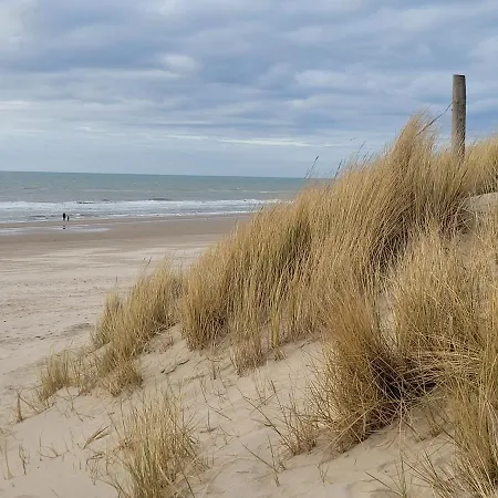 Tiny De Haas Met Infraroodsauna * Egmond aan Zee