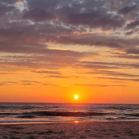 Tiny De Haas Met Infraroodsauna Διαμέρισμα Egmond aan Zee