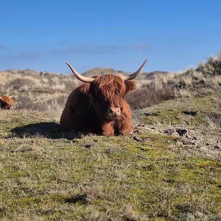 Διαμέρισμα Tiny De Haas Met Infraroodsauna *