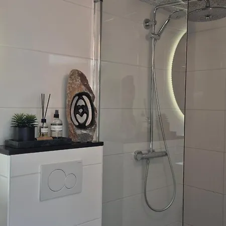 Tiny De Haas Met Infraroodsauna *