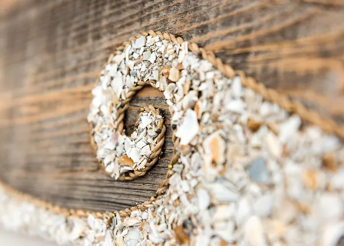 Tiny Villa De Haas Luxe Studio Met Heerlijk Terras En Infraroodsauna Appartement Egmond aan Zee