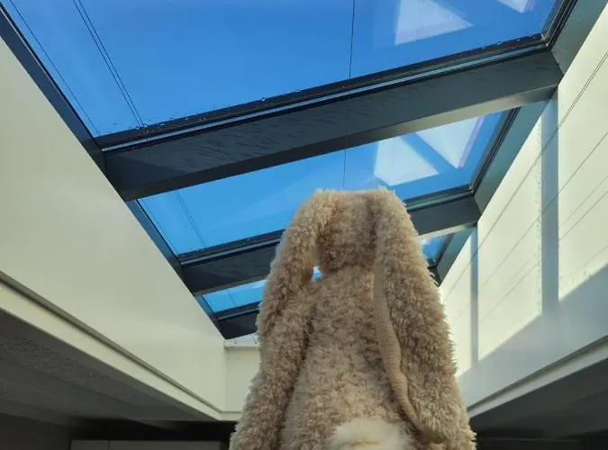 Appartement Tiny Villa De Haas Luxe Studio Met Heerlijk Terras En Infraroodsauna Egmond aan Zee