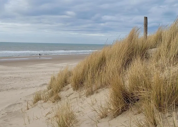 Tiny Villa De Haas Luxe Studio Met Heerlijk Terras En Infraroodsauna * Egmond aan Zee