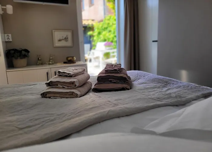 Tiny De Haas Met Infraroodsauna *