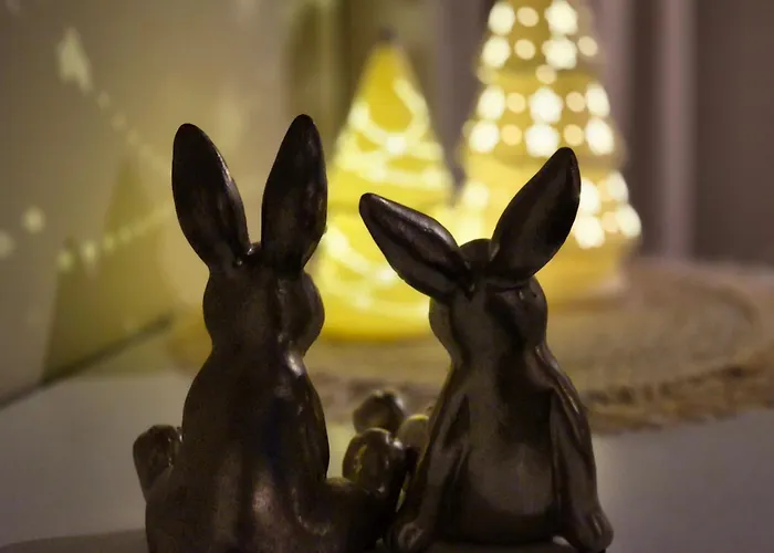 Appartement Tiny Villa De Haas Luxe Studio Met Heerlijk Terras En Infraroodsauna Egmond aan Zee