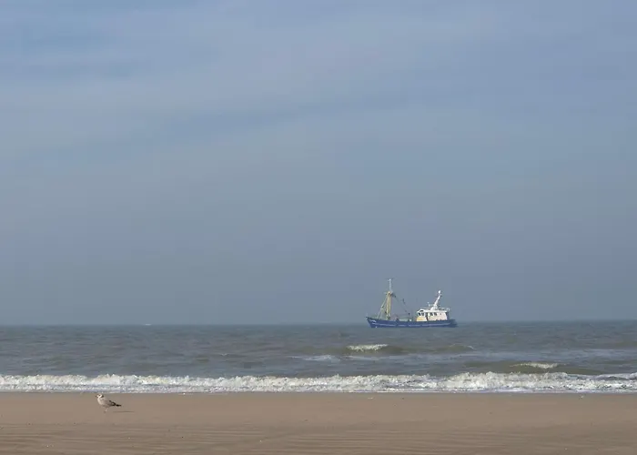 Tiny De Haas Met Infraroodsauna Appartement Egmond aan Zee