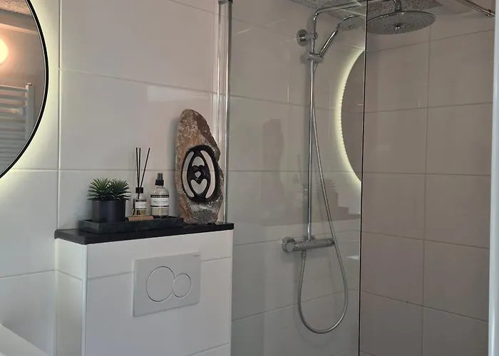 Tiny De Haas Met Infraroodsauna *