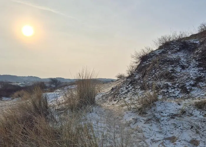 Tiny De Haas Met Infraroodsauna Egmond aan Zee