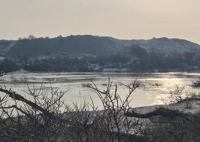 Tiny Villa De Haas Luxe Studio Met Heerlijk Terras En Infraroodsauna Appartement Egmond aan Zee