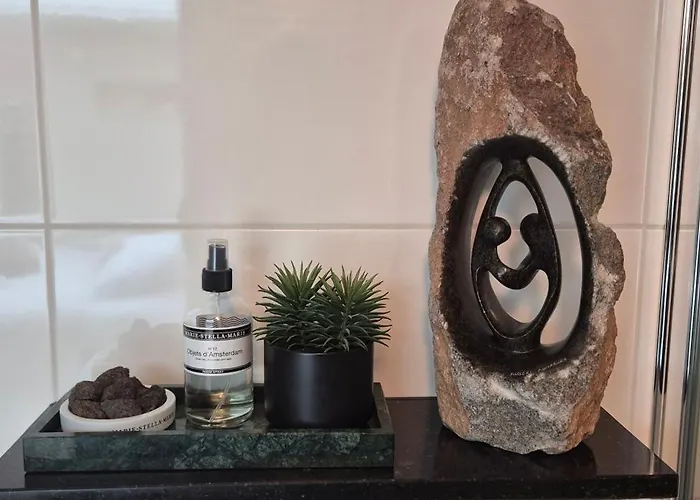 Tiny Villa De Haas Luxe Studio Met Heerlijk Terras En Infraroodsauna Appartement Egmond aan Zee